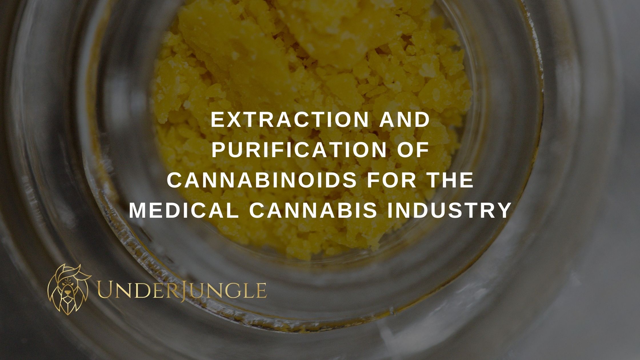 Extraction And Purification Of Cannabinoids For The Medical Cannabis Industry - UnderJungle