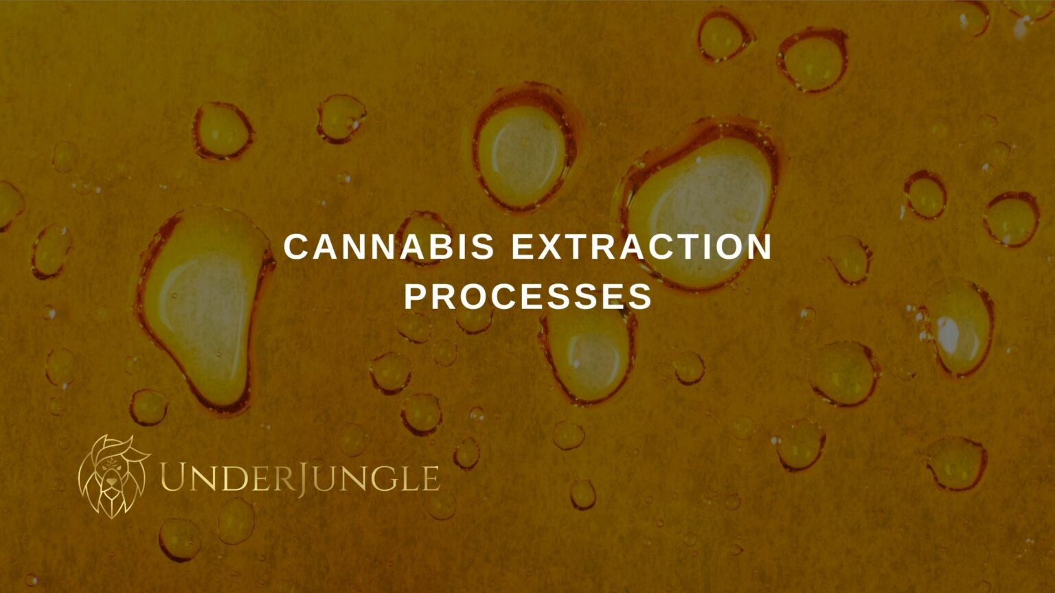 Cannabis Extraction Processes – UnderJungle